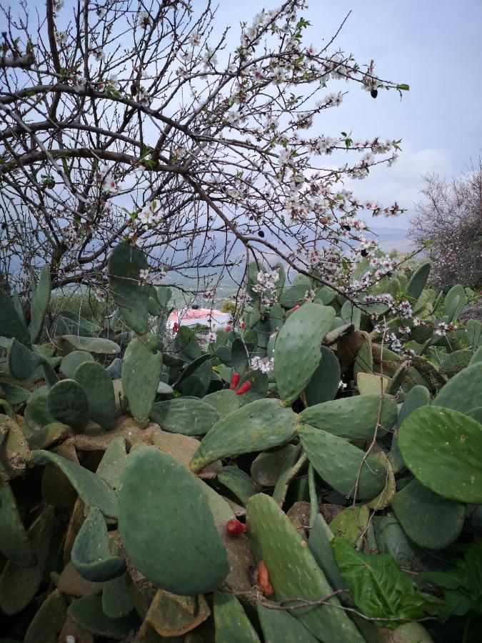 Casa Opuntia Villa Pappaygiannades Eksteriør bilde