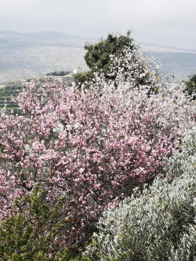 Casa Opuntia Villa Pappaygiannades Eksteriør bilde