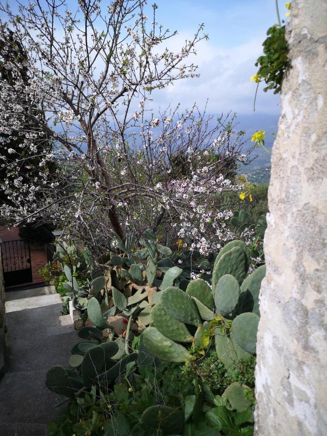 Casa Opuntia Villa Pappaygiannades Eksteriør bilde